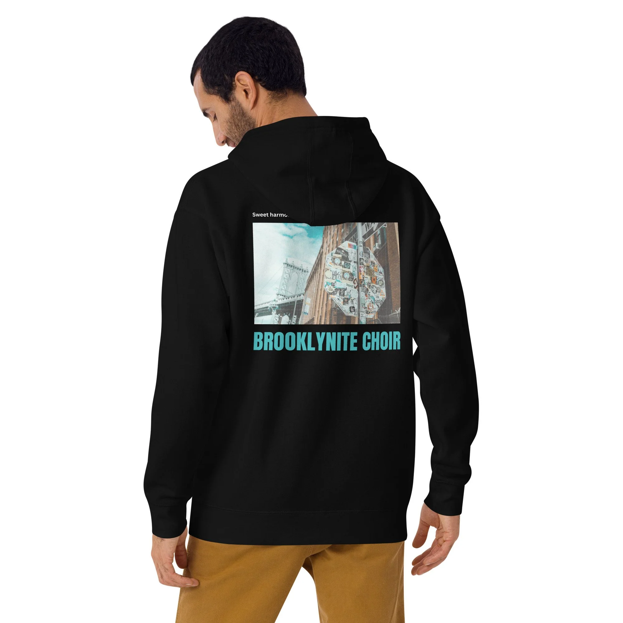 unisex-premium-pullover-hoodie-black-back-6aade1d6f1c8e.jpg