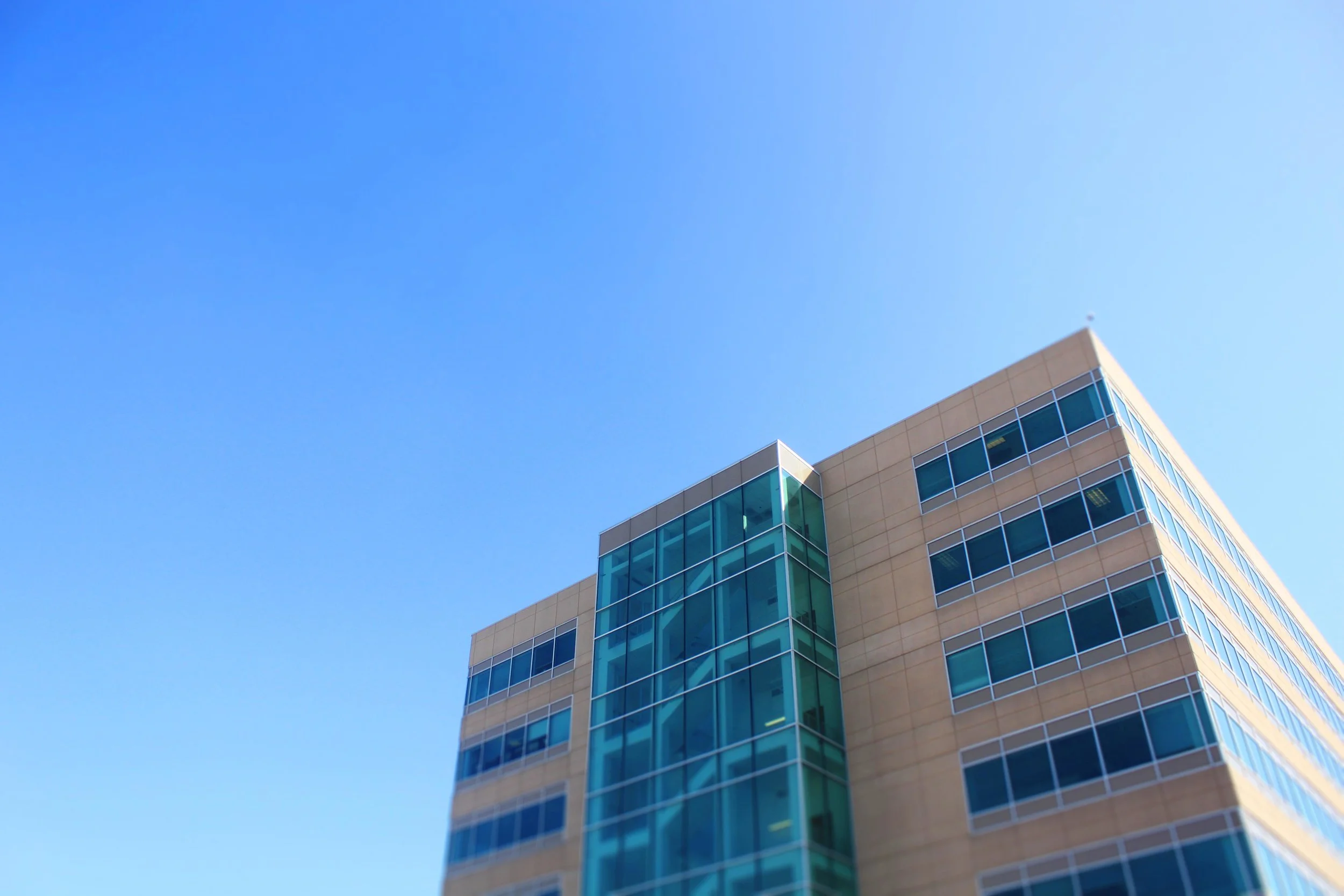 building003.jpg
