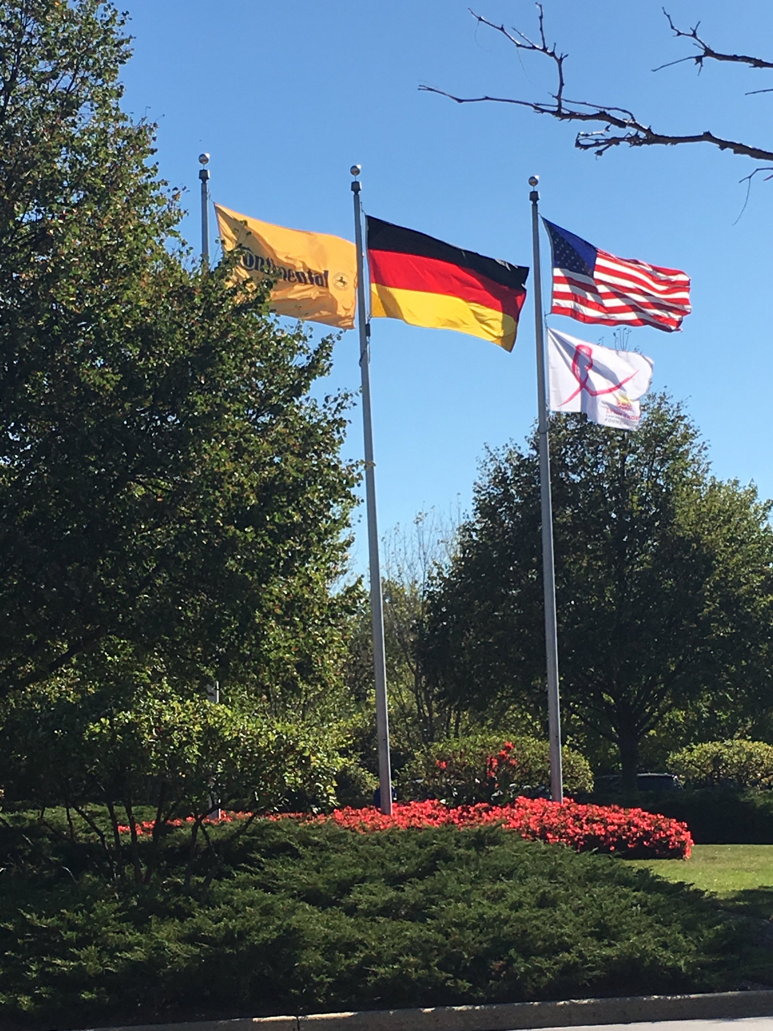 Breast Cancer Awareness Month