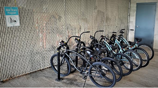 Bike Share Program
