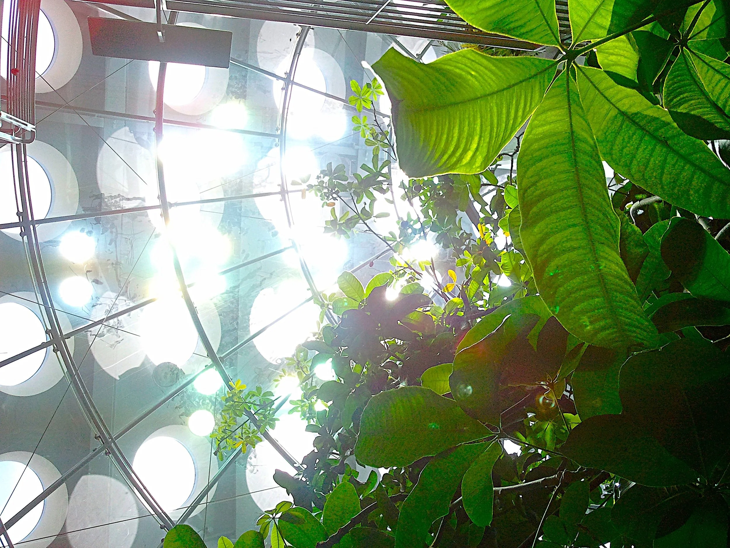 2011-07-10 13.35.03.jpg