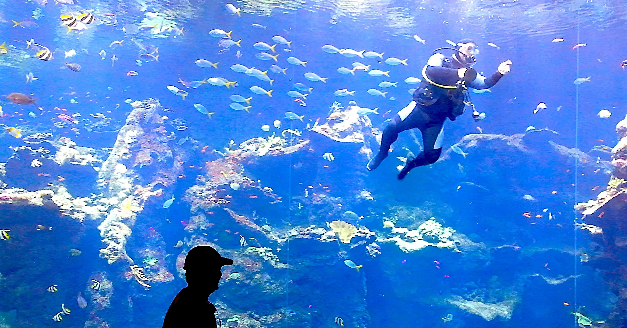 2011-07-10 14.16.51.jpg