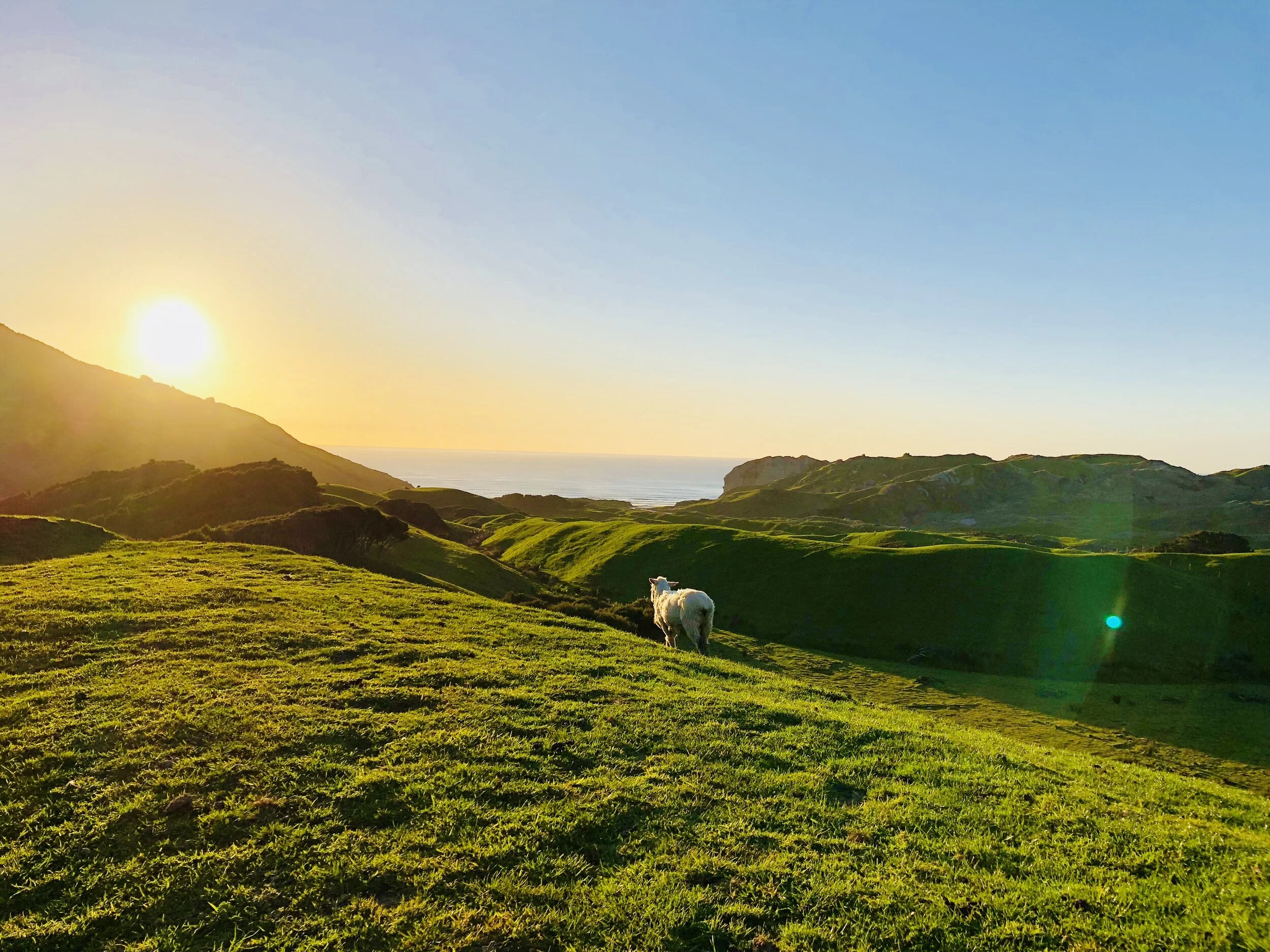 Sunset - Golden Bay NZ