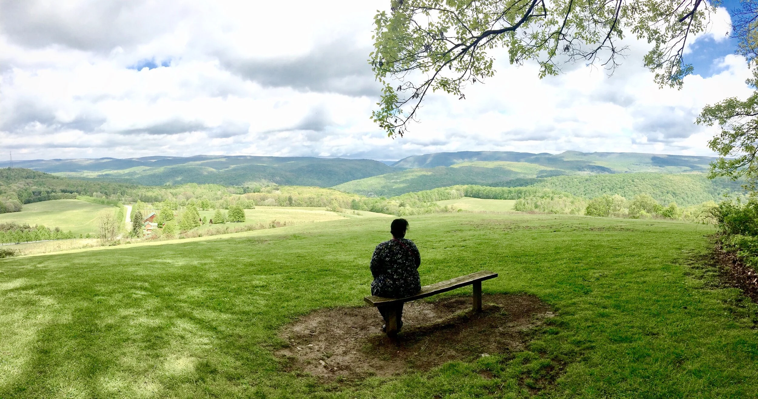 FLW Kentuck Knob Backyard