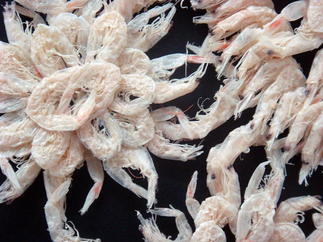 Shrimplace