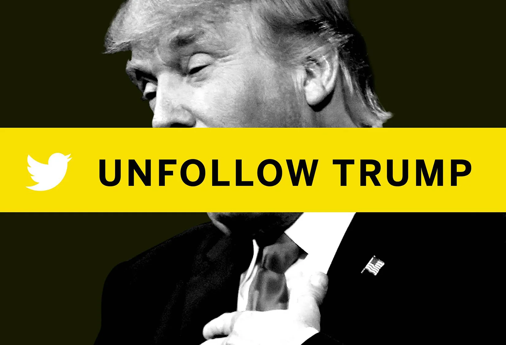 ut-header.jpg