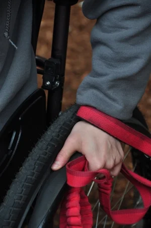 YES: Loop the handle around your wrist, then fold the leash in your hand.