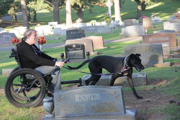 Crys Davis and her Service Dog navigate through a cemetery doing field work for her graduate degree.