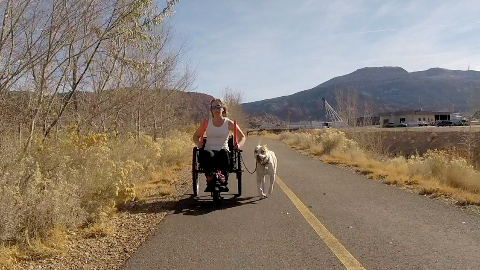 Down close to the tires is the higher gear allowing you to move quickly over smooth flat terrain