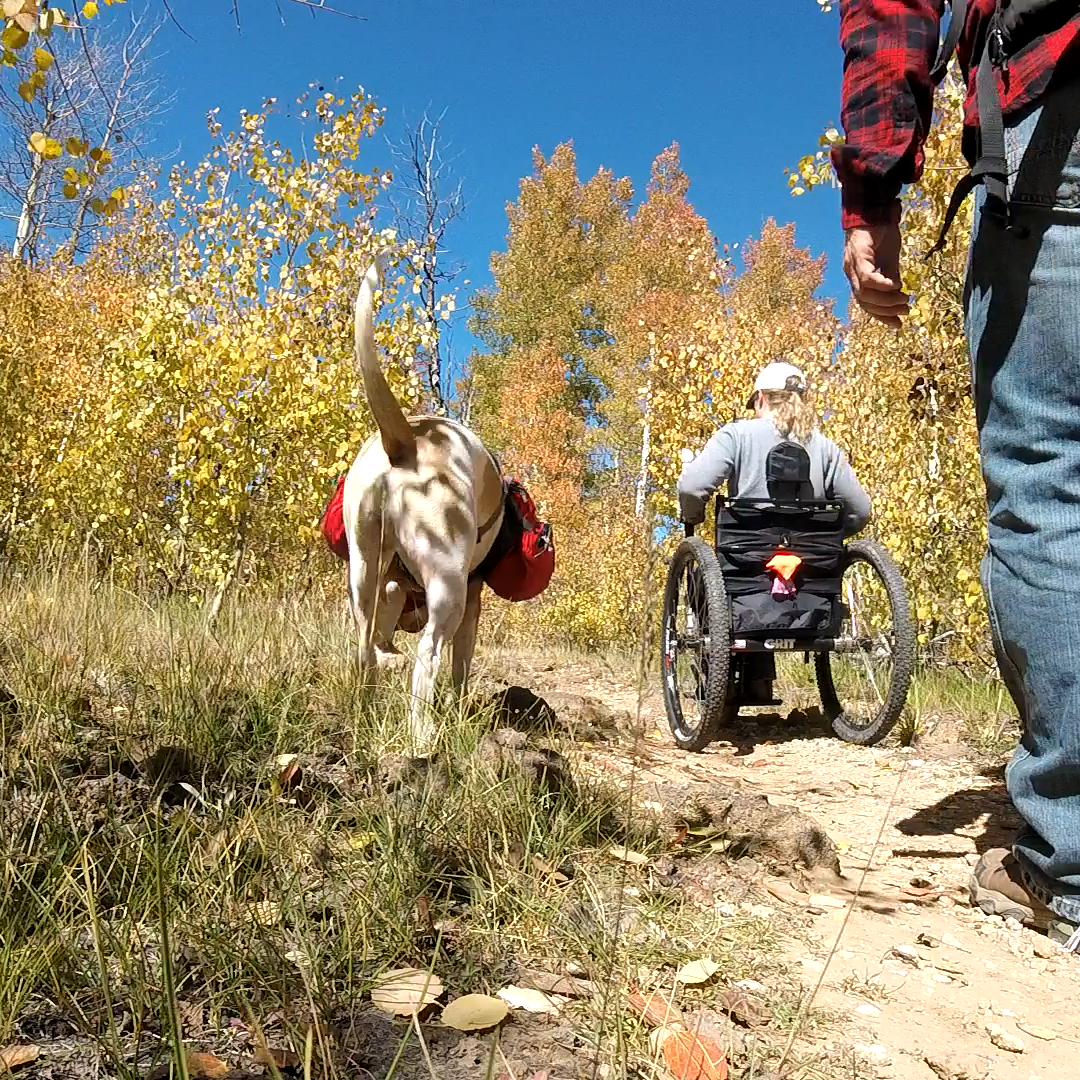 SEPTEMBER: It may be cliche, but Fall is my favorite season! The temps are cooler, but conditions for outdoor activities are ideal. The Aspen trees are only briefly at the height of their color, so I make sure not to miss out. I take my Freedom Chair up into the mountains to not only see the colors, but to become immersed in them.