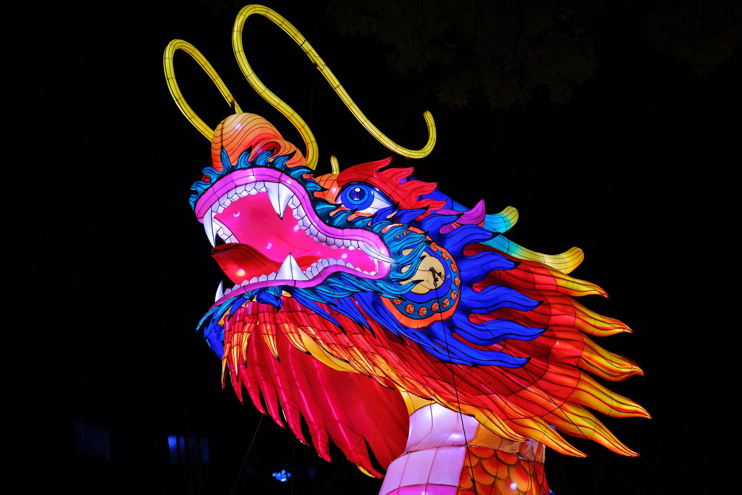 2022PCLF Dragon_JeffFuscoforTianyu (10).JPG