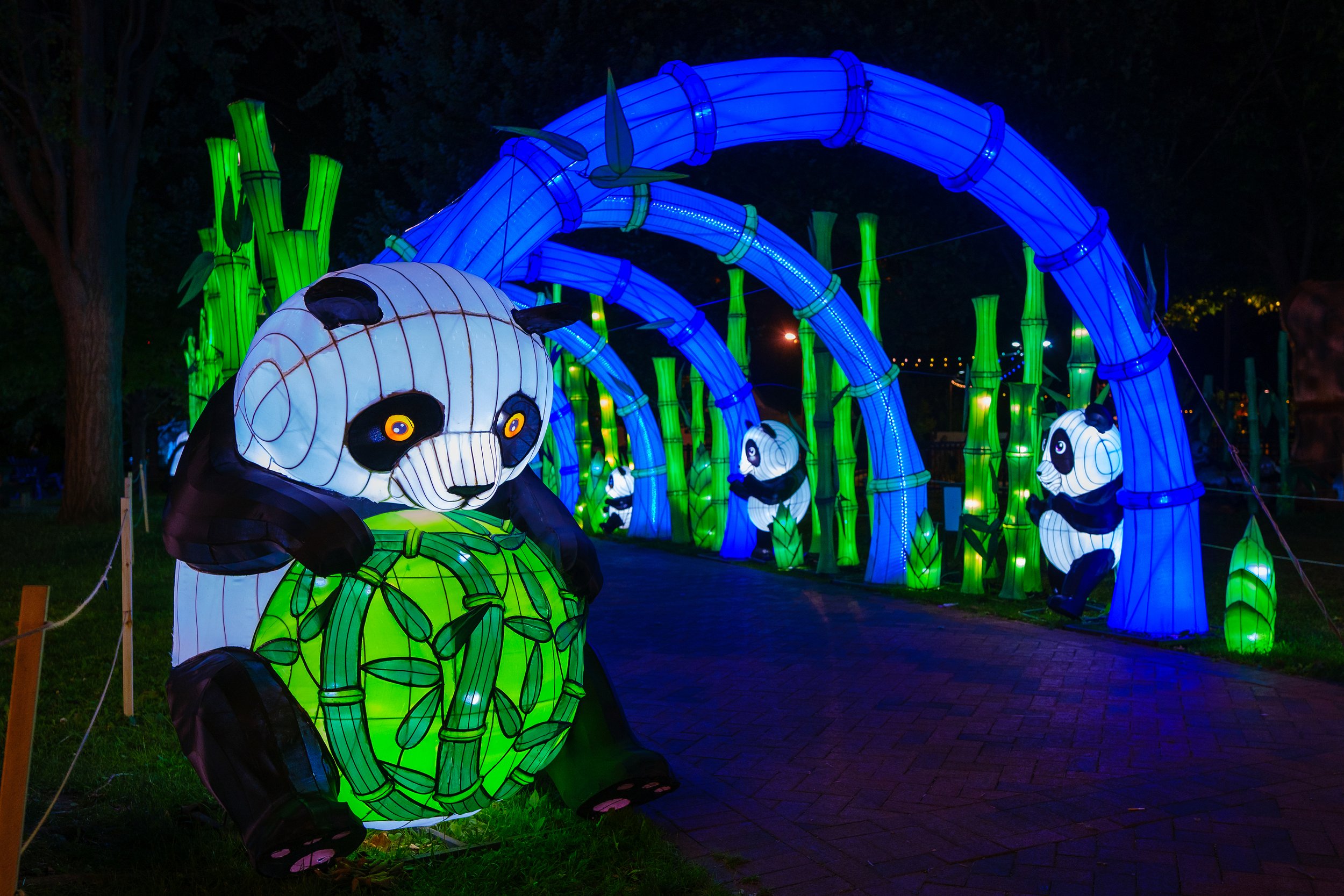 2022PCLF Panda_JeffFuscoforTianyu (16).JPG