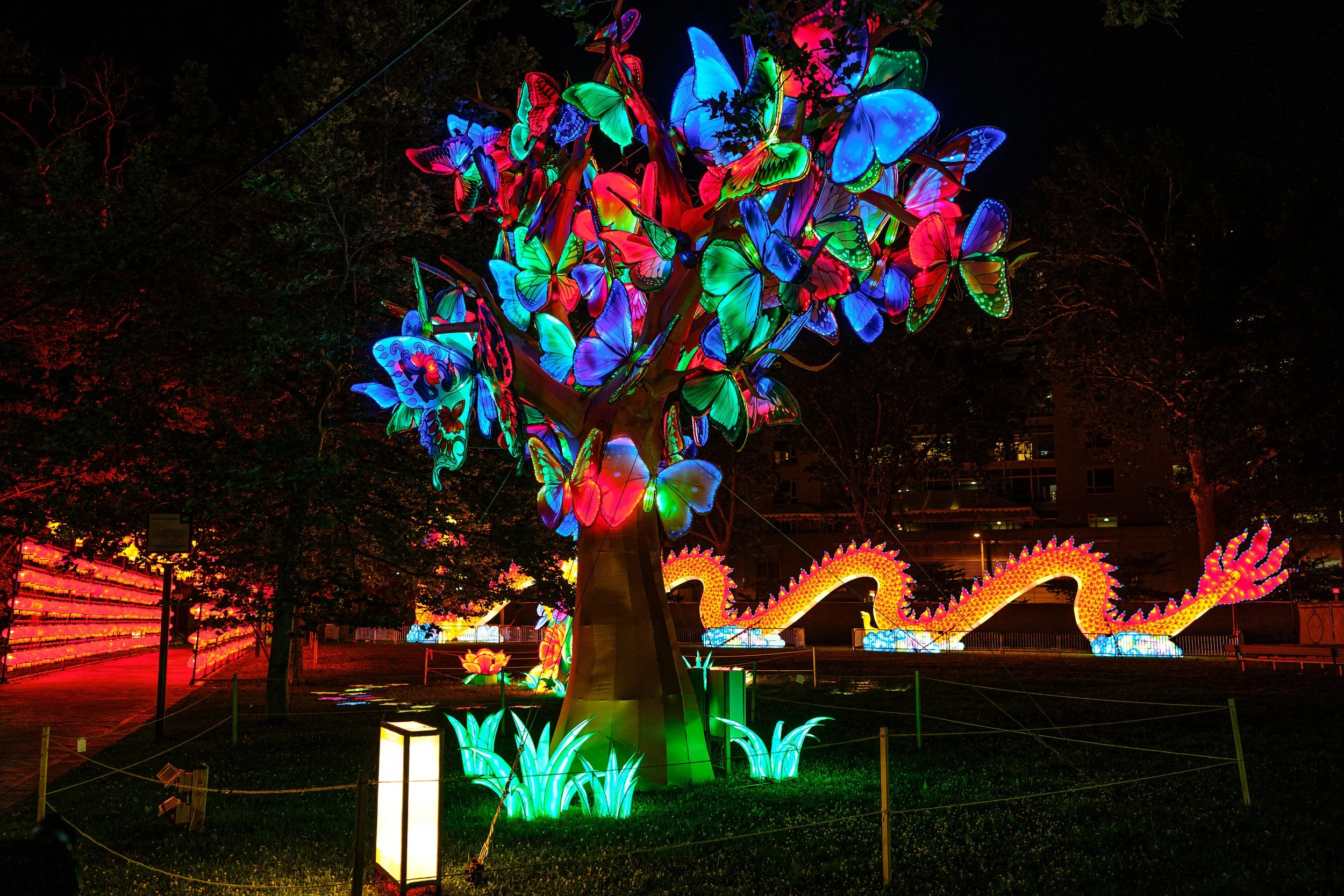 2022PCLF_JeffFuscoforTianyu (14).JPG