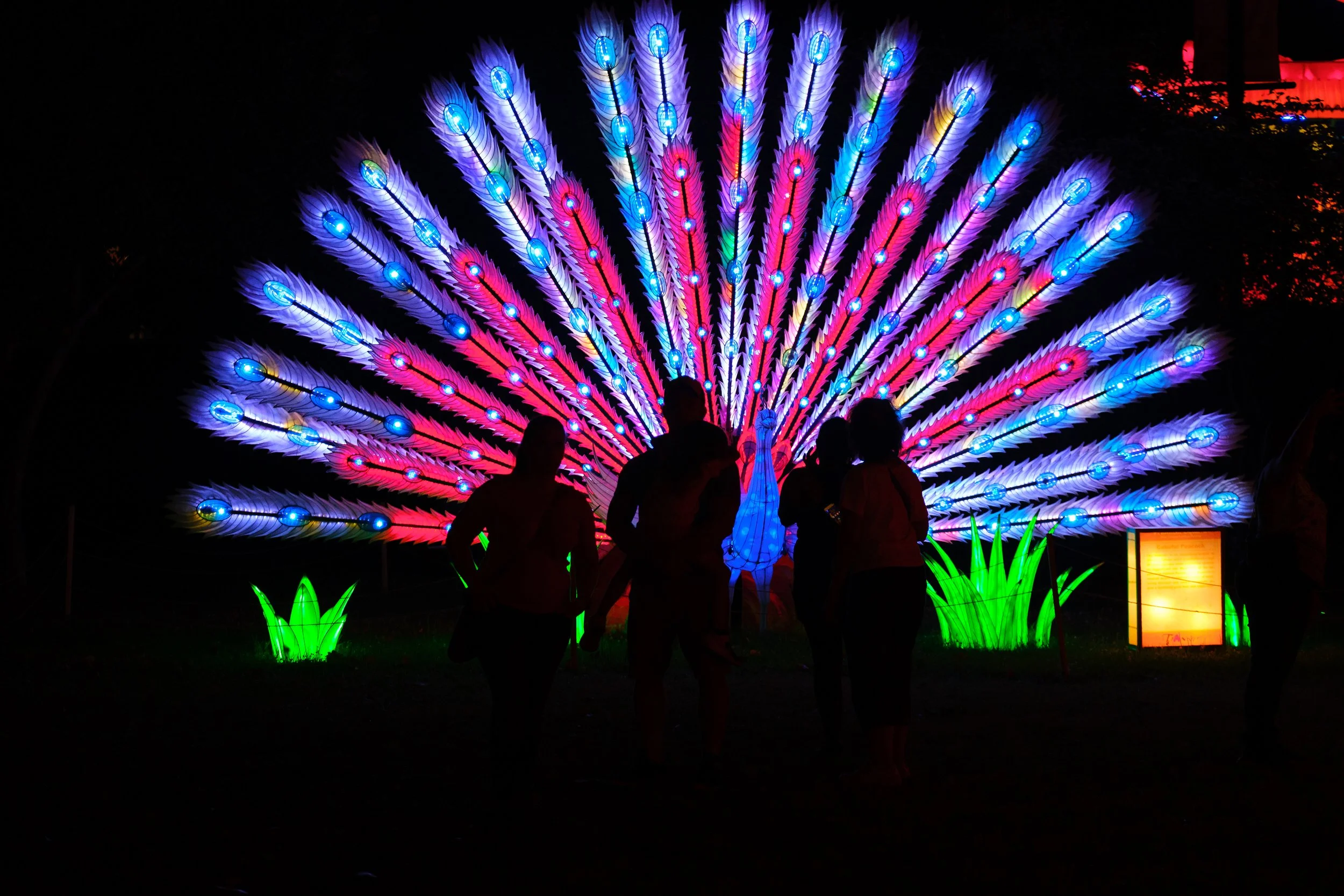 2022PCLF_JeffFuscoforTianyu (88).JPG