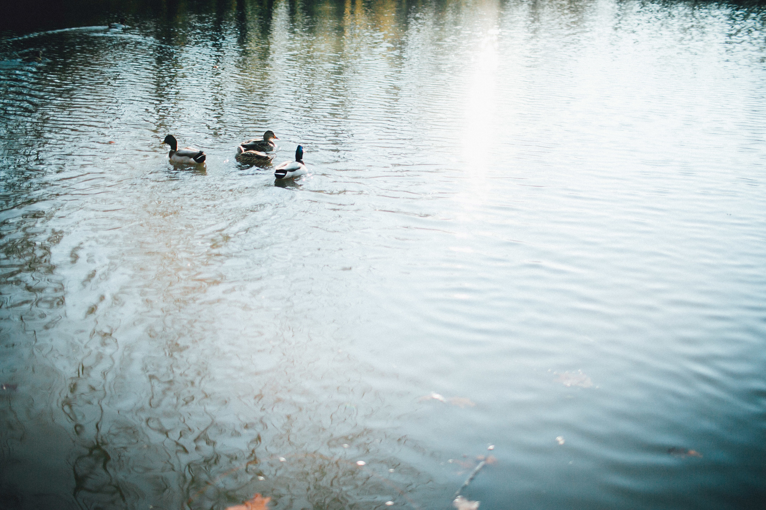 mayden photography web-27.jpg