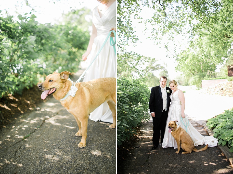 WeddingPortraitWithDog