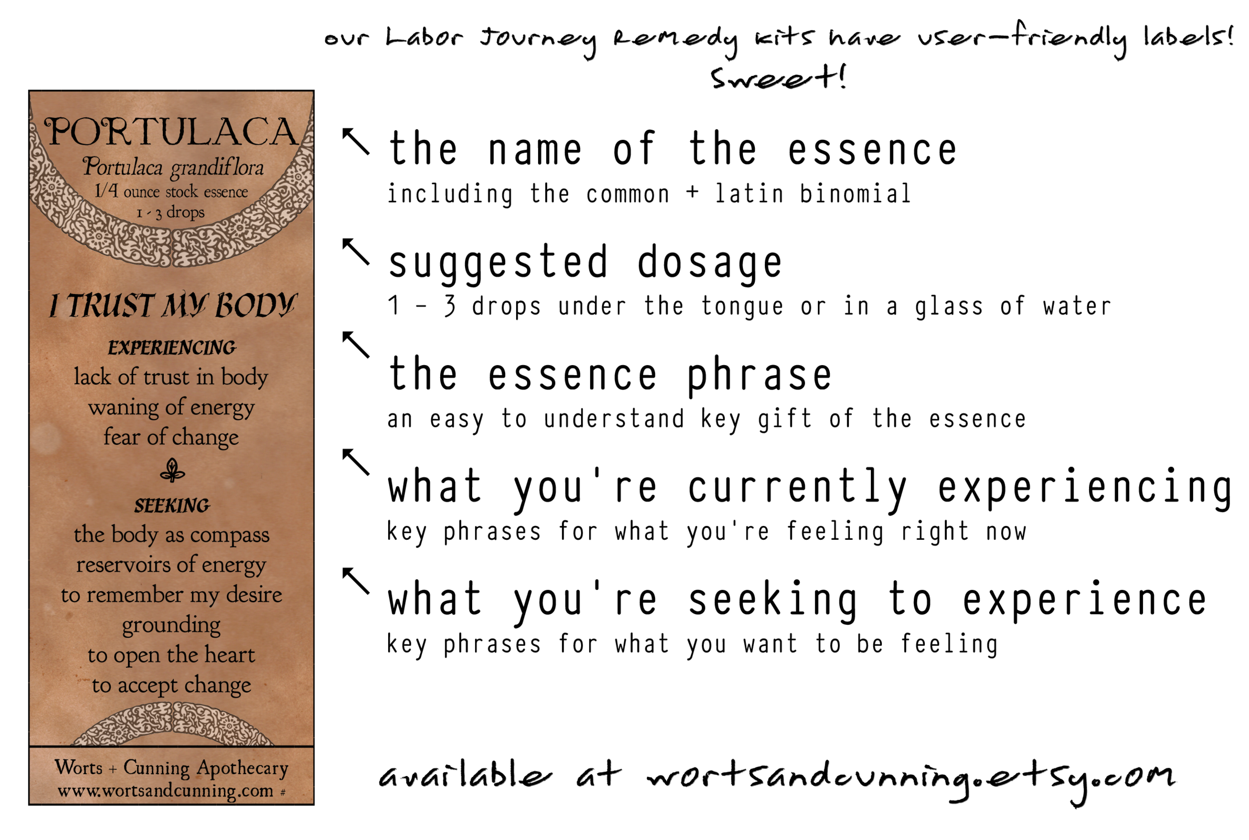 Birth Essences Labor Midwife Doula