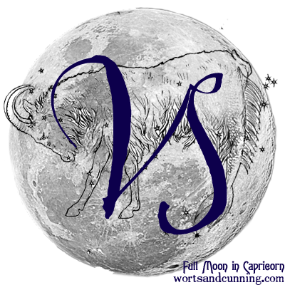 Capricorn Full Moon
