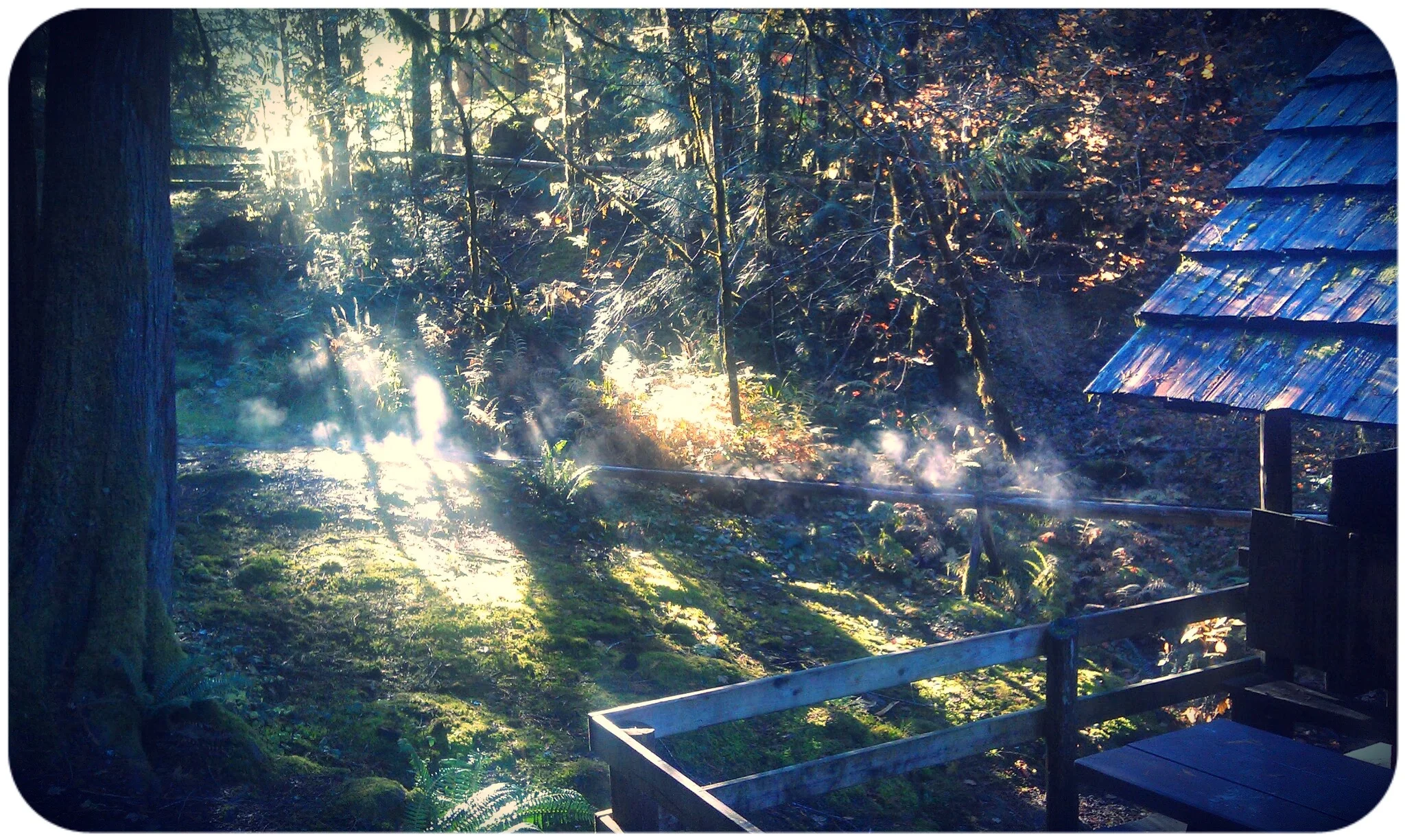 bagby hot springs - photo by author