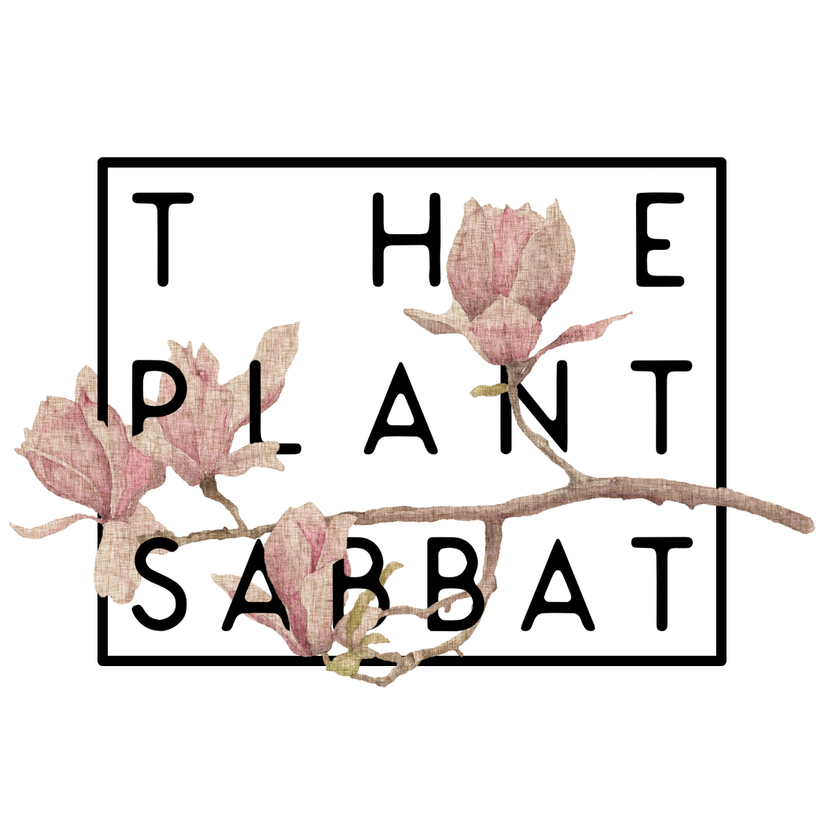 The Plant Sabbat : Gotu Kola Class