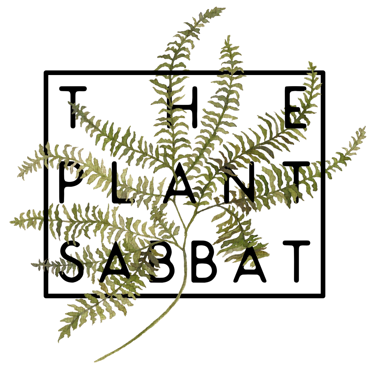 The Plant Sabbat : Rose Class