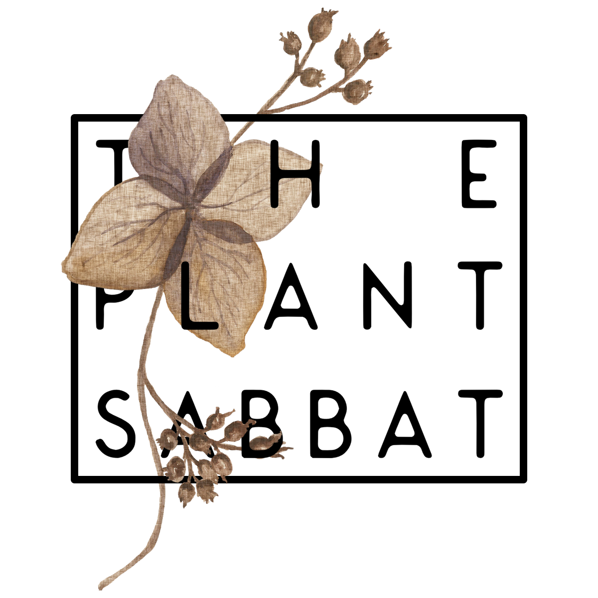 The Plant Sabbat : Angelica Class