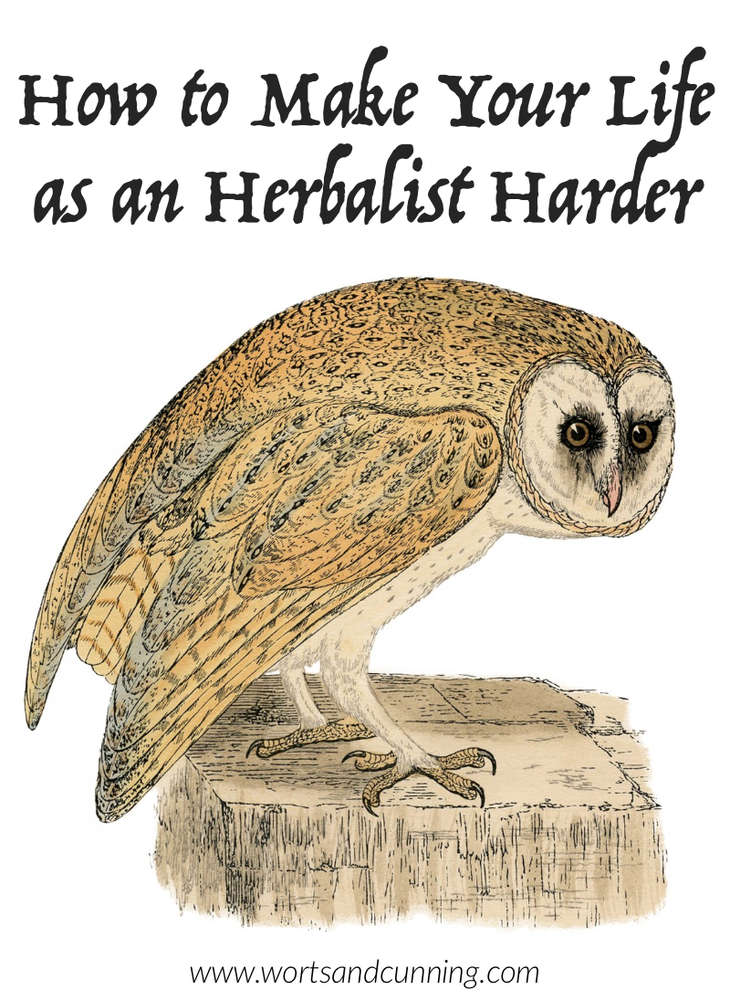 herbalism mistakes