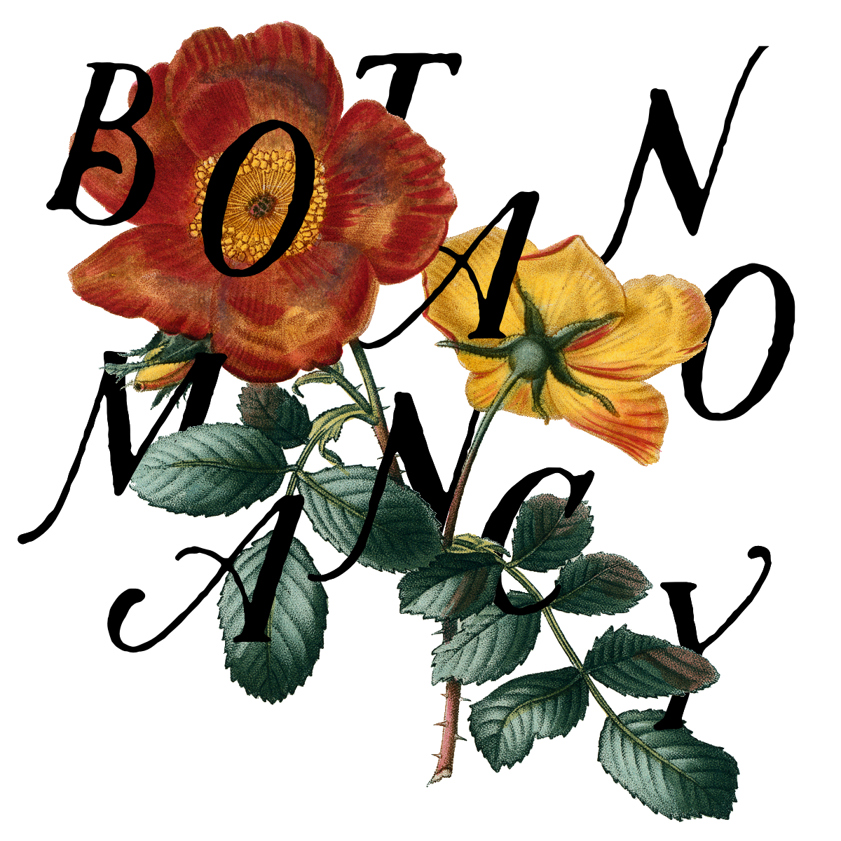 botanomancy.png