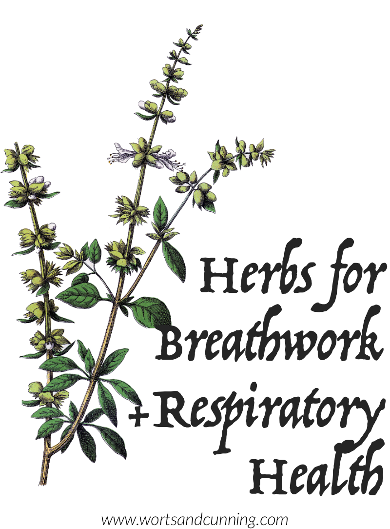 TOP SMOKABLE PLANTS Used Since Ancient Times  Lucid dream herbs, Herbal  healing, Herbalism