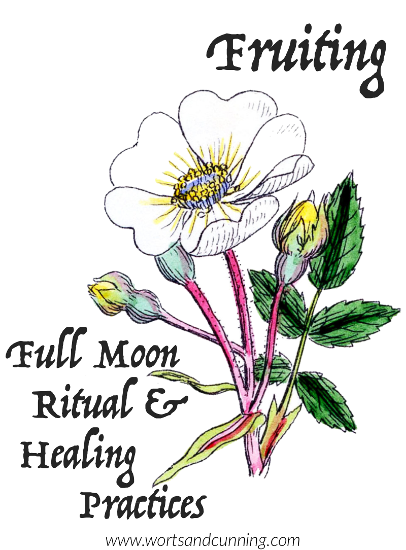Fruiting Full Moon Ritual & Healing Practices — Worts + Cunning