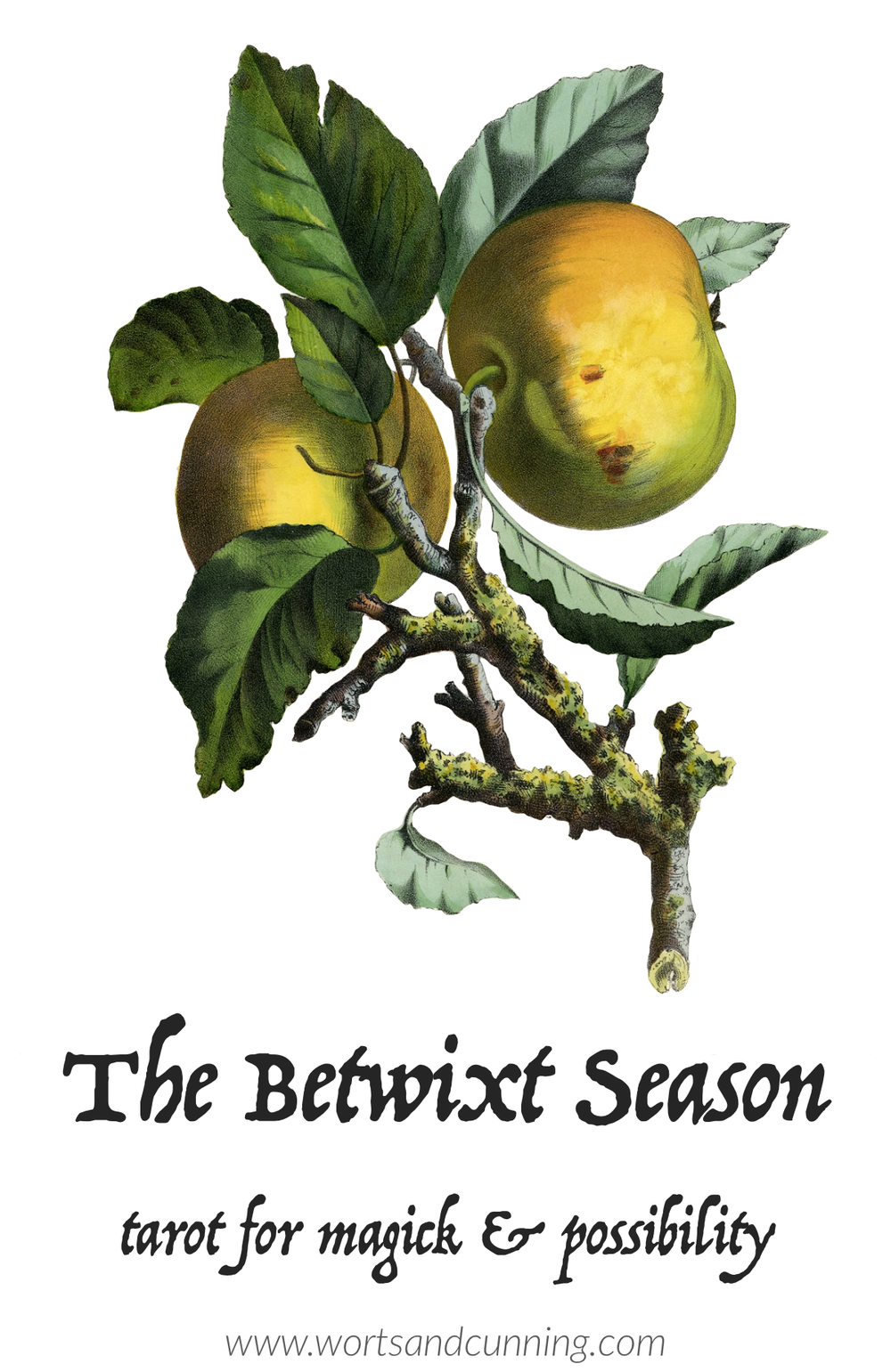 The Betwixt Season: Tarot for Magick & Possibility — Worts & Cunning ...