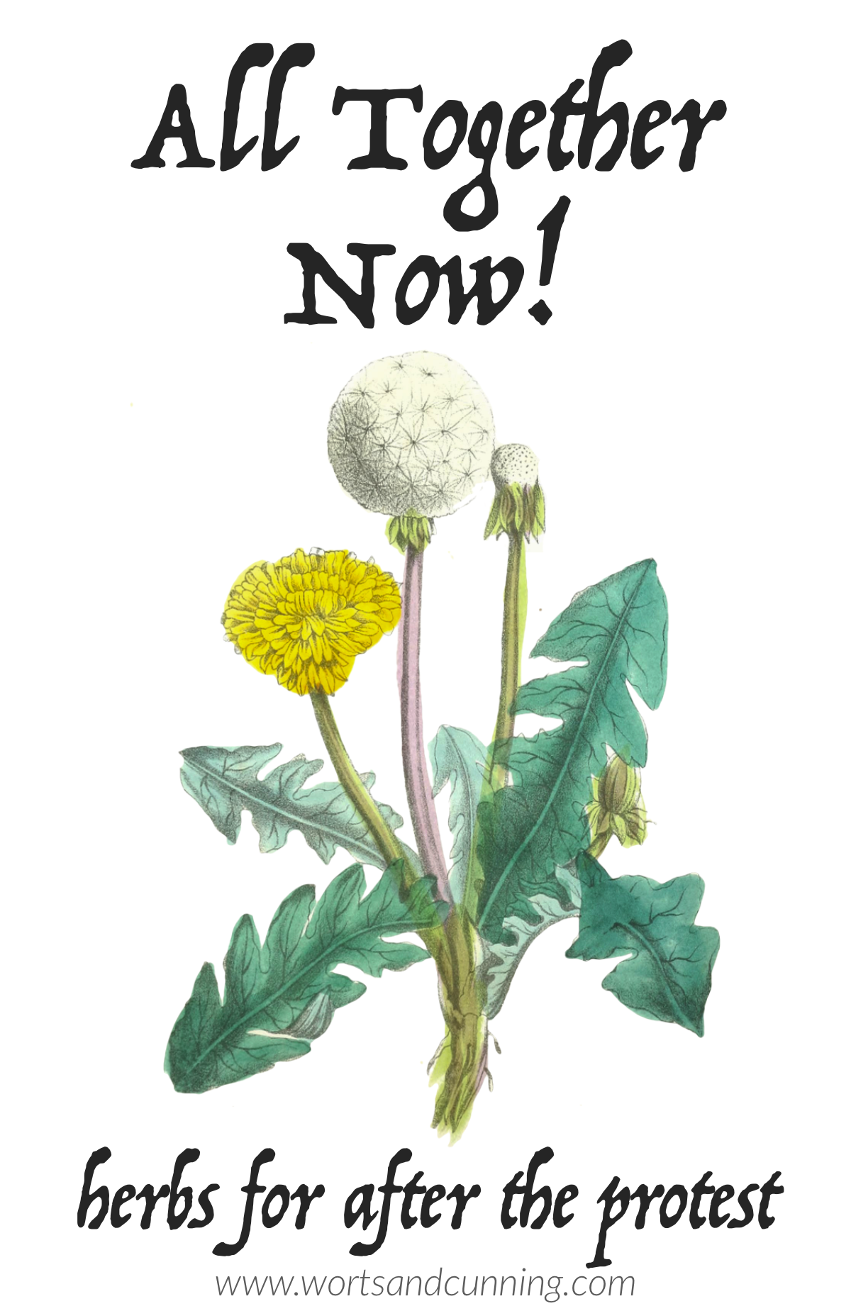 herbal support for protests