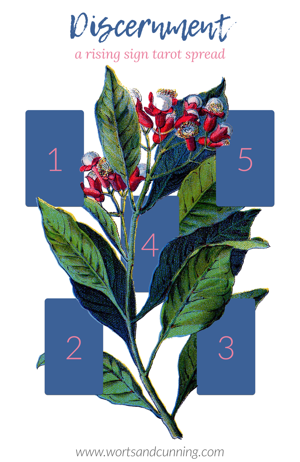 Discernment: A Rising Sign Tarot Spread — Worts + Cunning Apothecary ...