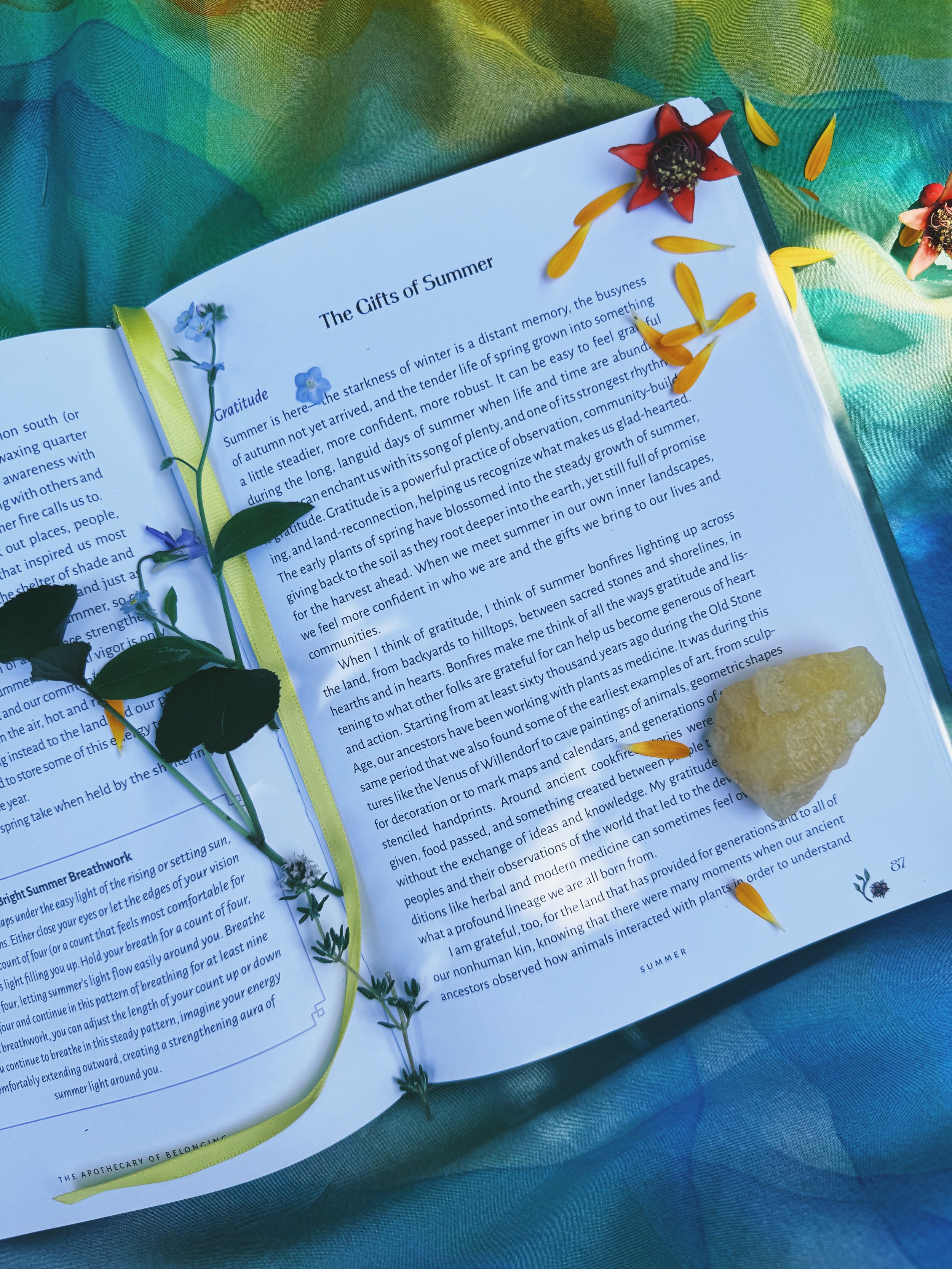 the apothecary of belonging