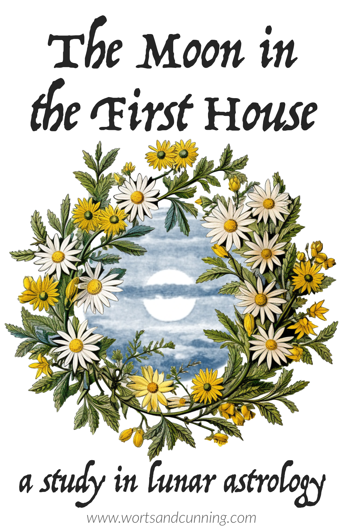the moon in the first house