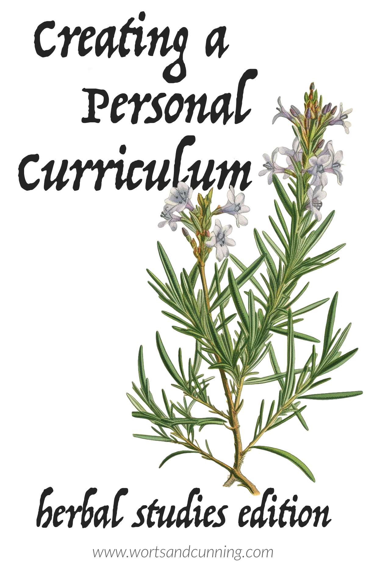personal curriculum herbalism