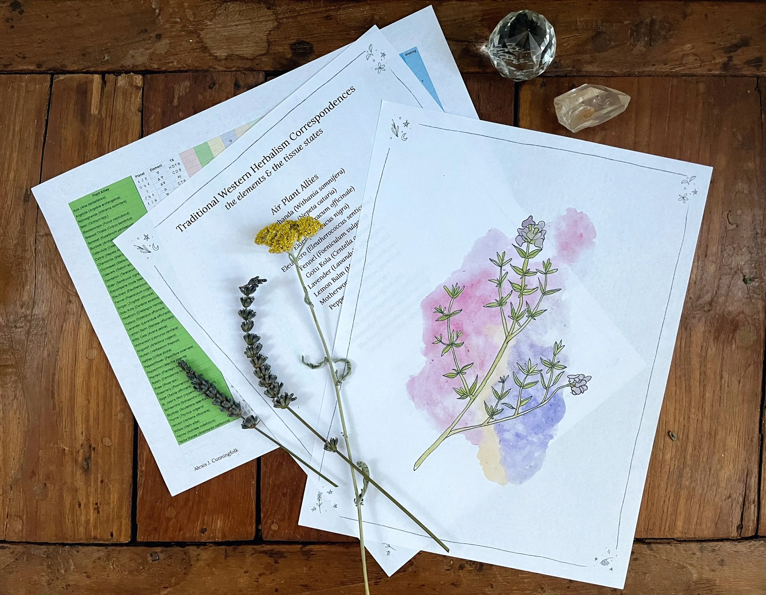 personal curriculum herbalist