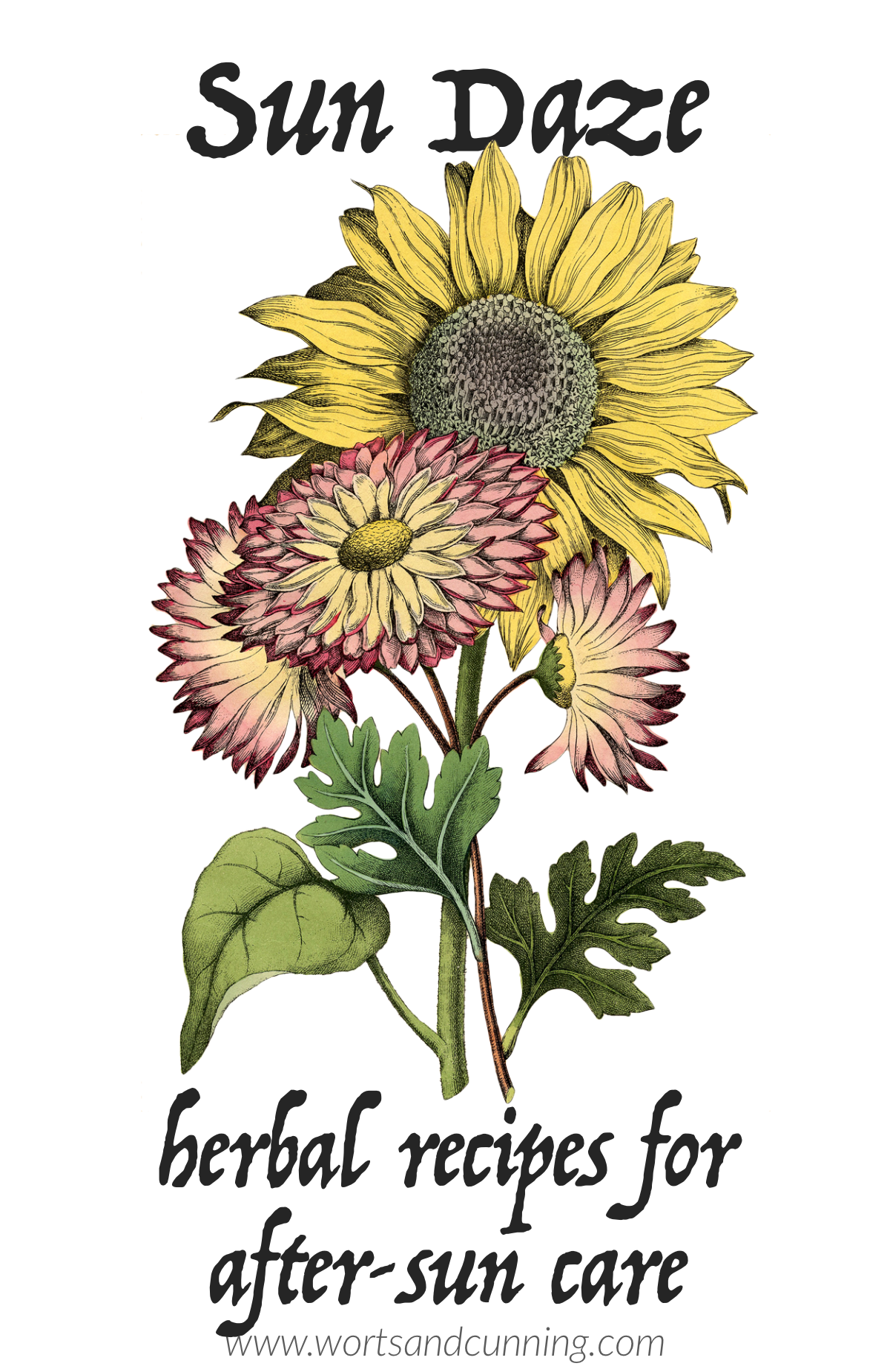herbs for after-sun care
