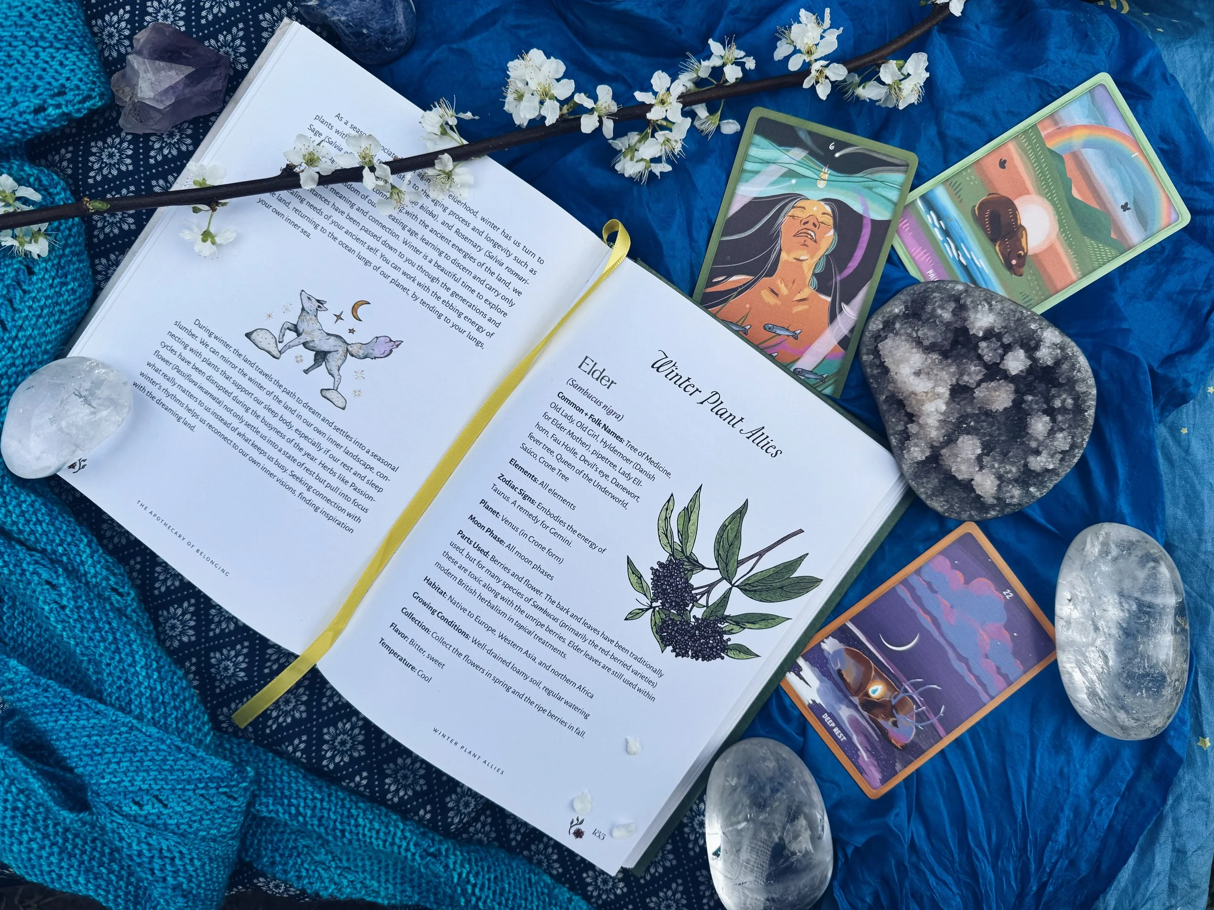 The Apothecary of Beloging