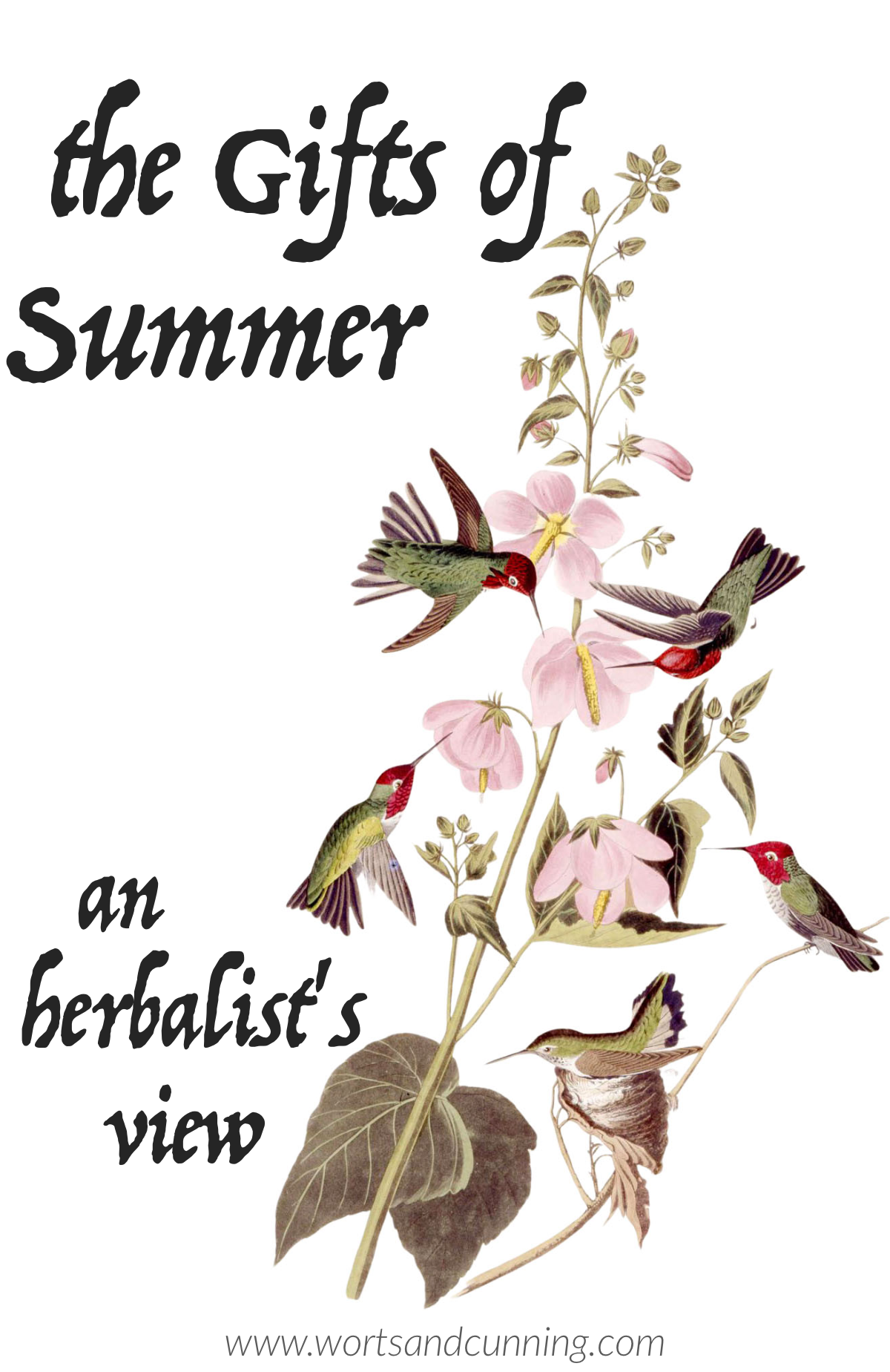 summer herbs