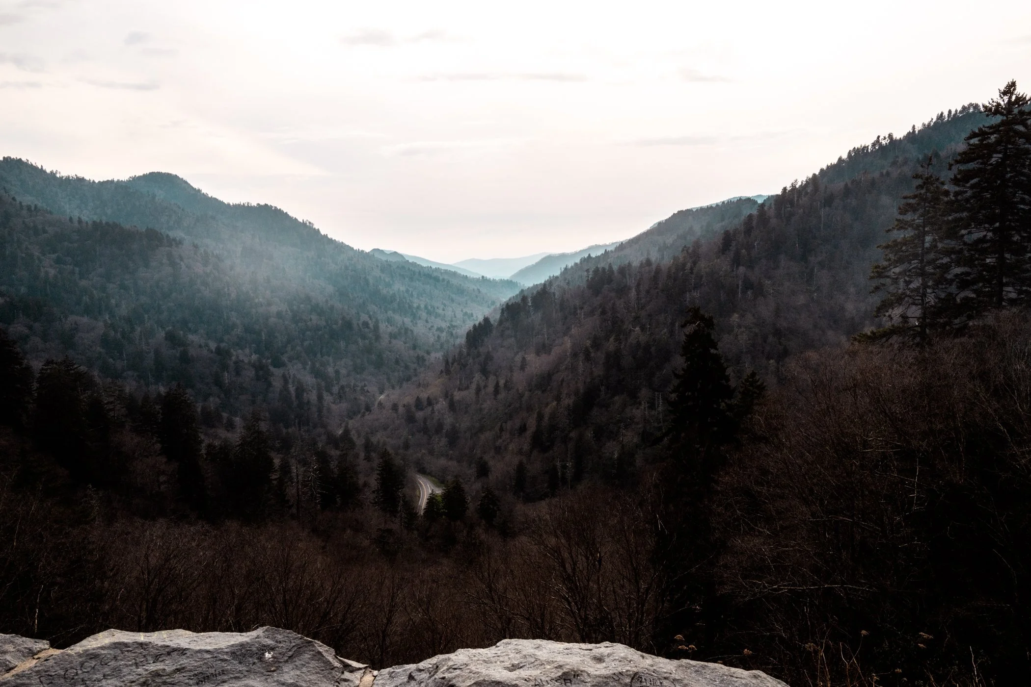 Tennessee_2023-107.jpg