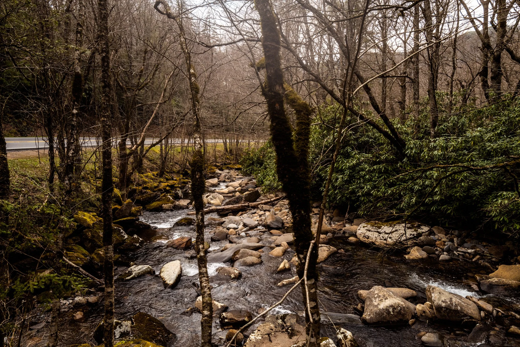Tennessee_2023-117.jpg