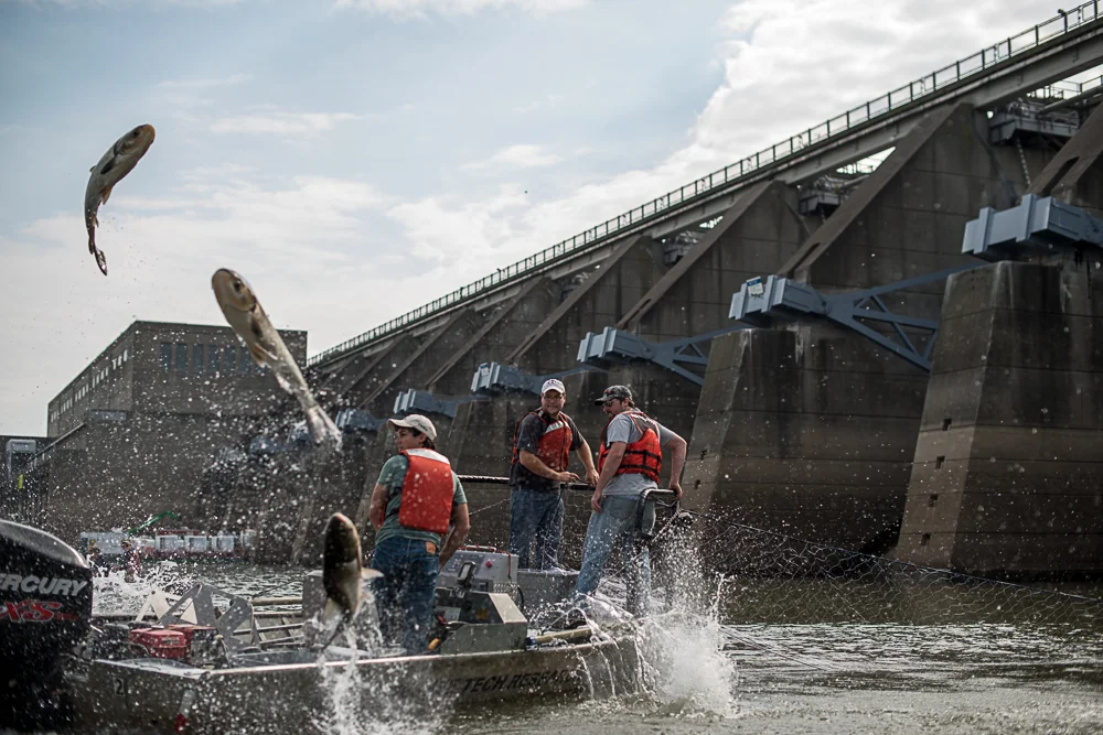 Visions_PhotoEssay_BarkleyDam_8OCT15_00067.jpg