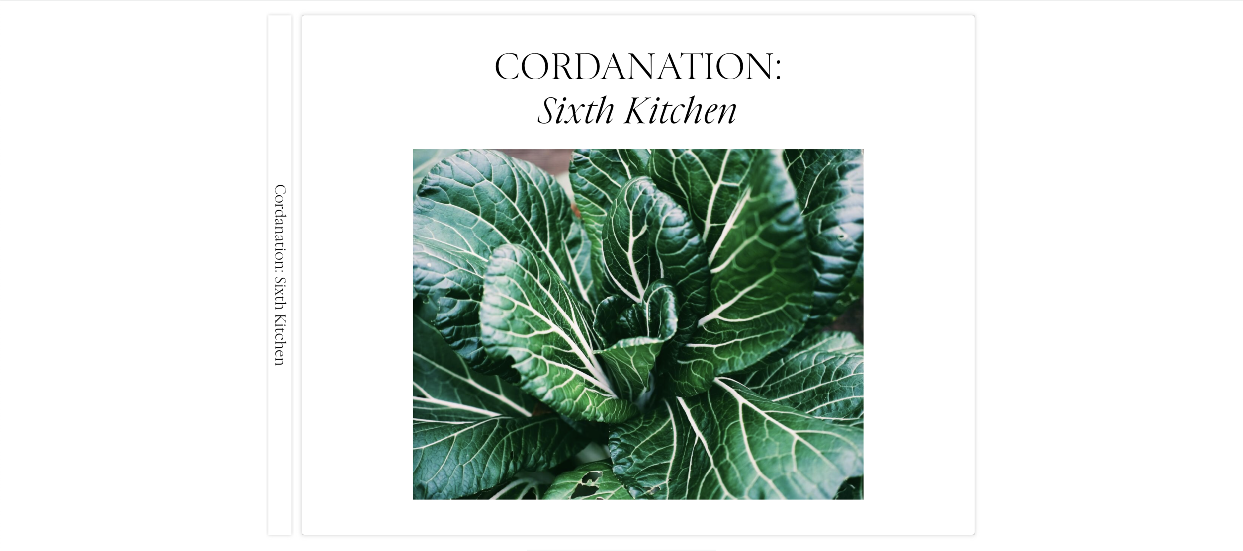 Cordanation_Sixth_Kitchen_1.PNG