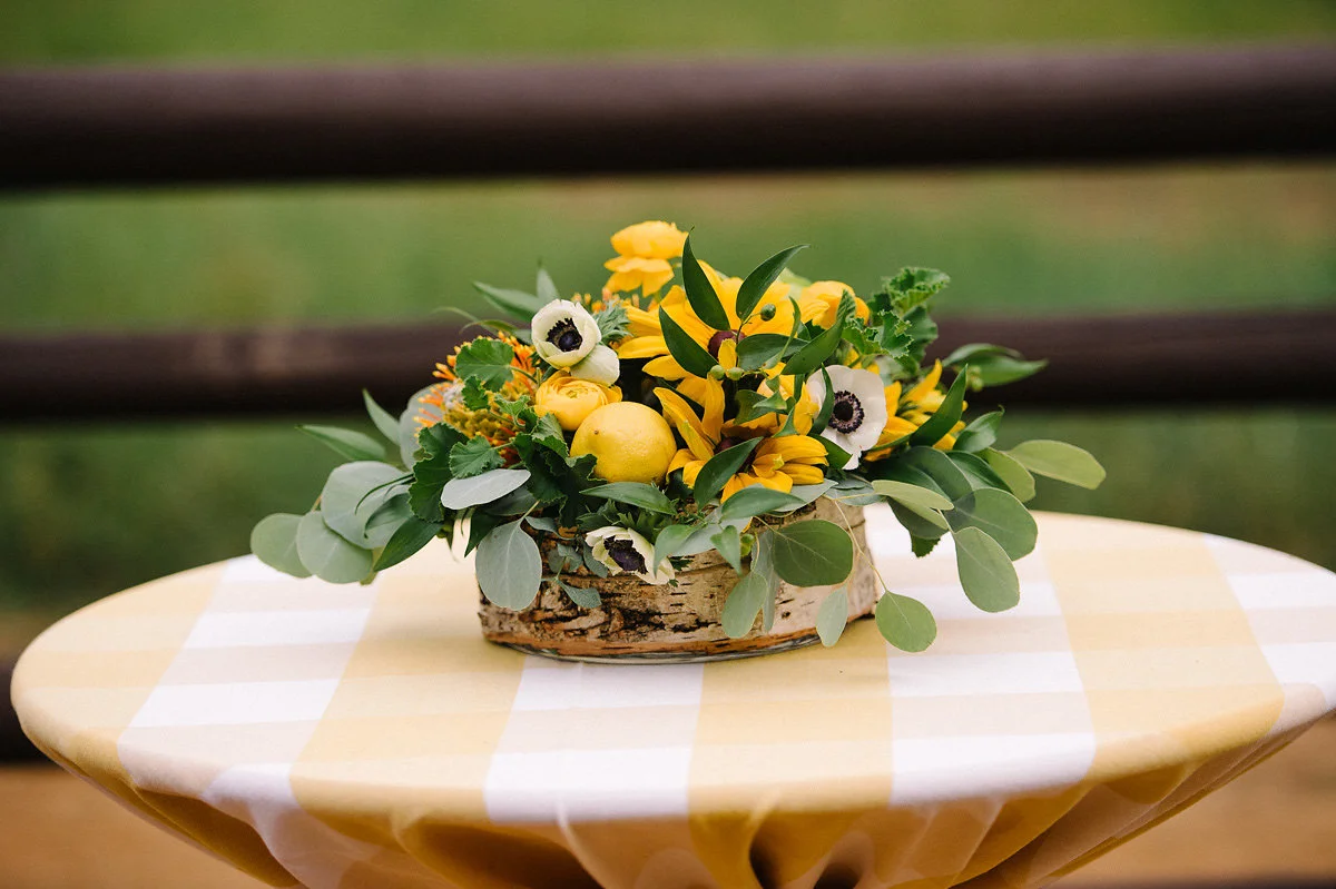 0187W0297Welcome.jpg