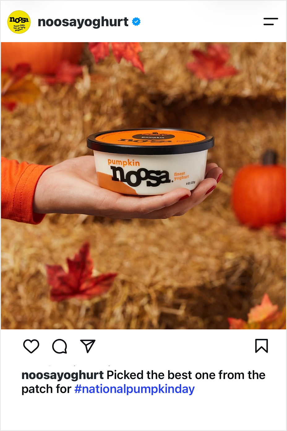 3noosa.png