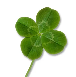  CLIENT: Cotton Communications &nbsp;| &nbsp;AGENCY: In-house &nbsp;| &nbsp;Year: 1981 Type: Direct mail giveaway&nbsp;“Get Lucky” with real four-leaf-clover 