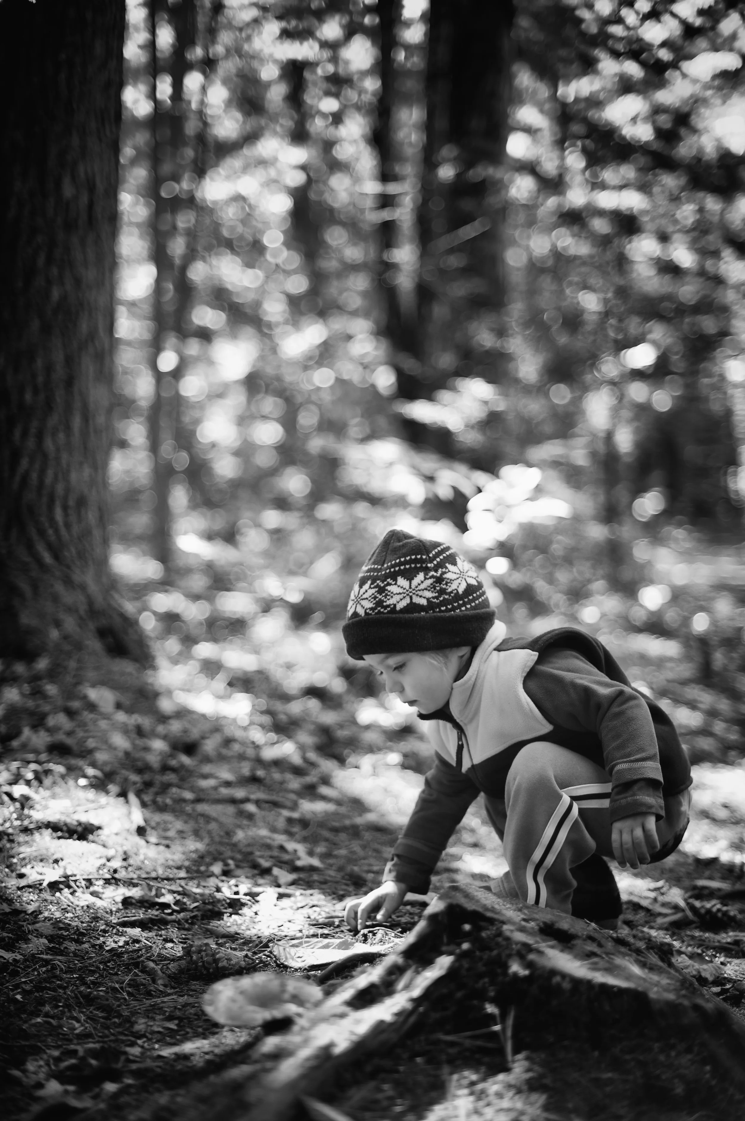 DSC_3614-Edit.jpg