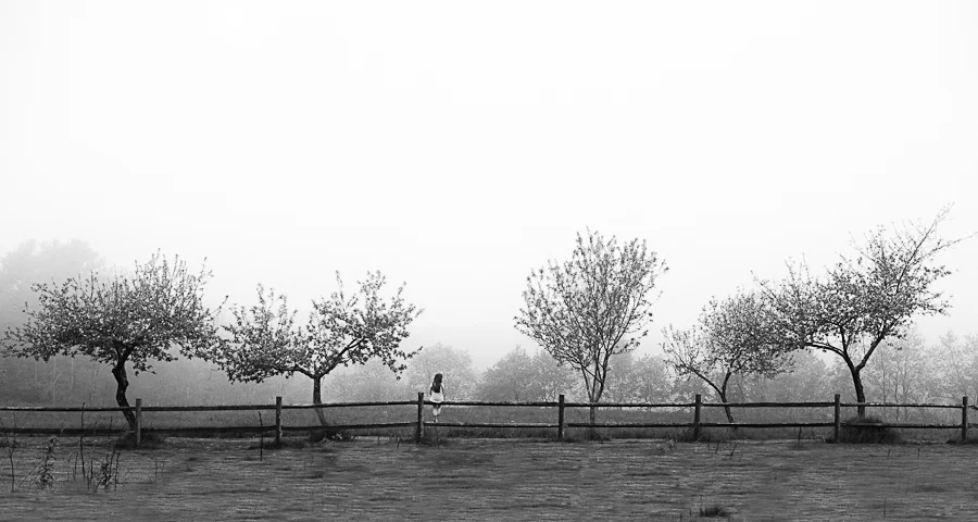 DSC_4754-Edit.jpg