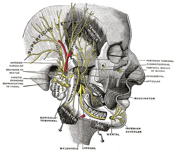 image781.gif